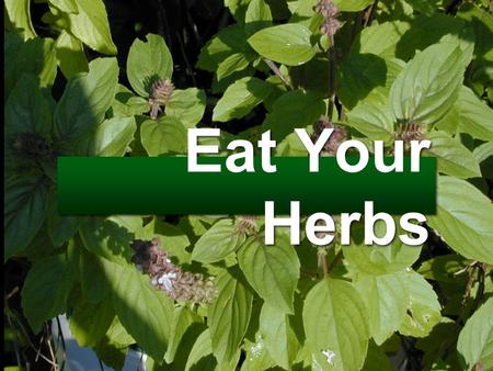 Eat Your Herbs. What Is an Herb? Herb (urb, hurb) n. a plant with leaves, flowers, berries or seeds that are used for food, flavoring or in medicine Oxford.