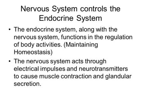 Nervous System controls the Endocrine System The endocrine system, along with the nervous system, functions in the regulation of body activities. (Maintaining.