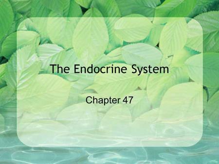The Endocrine System Chapter 47. Endocrine System: The Body’s Regulatory System The nervous system is involved with high speed messages The endocrine.