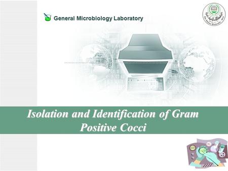 General Microbiology Laboratory Isolation and Identification of Gram Positive Cocci.