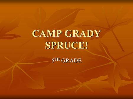 CAMP GRADY SPRUCE! 5 TH GRADE. MEDICATION RULES MEDICATION FORM MUST BE FILLED OUT AND SIGNED BY PARENT FOR EACH MEDICATION. MEDICATION FORM MUST BE FILLED.