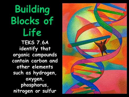 Building Blocks of Life TEKS 7.6A identify that organic compounds contain carbon and other elements such as hydrogen, oxygen, phosphorus, nitrogen or sulfur.