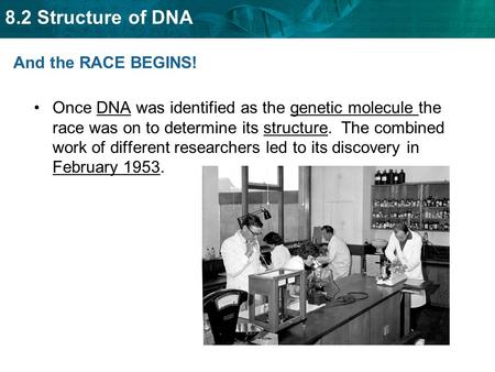And the RACE BEGINS! Once DNA was identified as the genetic molecule the race was on to determine its structure. The combined work of different researchers.