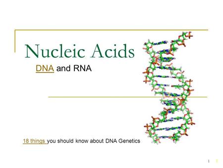 1 Nucleic Acids DNADNA and RNA 1 18 things 18 things you should know about DNA Genetics.
