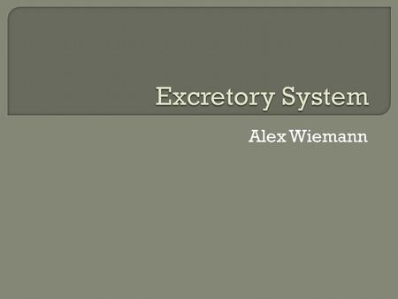 Alex Wiemann.  The excretory system gets rid of nitrogenous (and other) wastes.  It also regulates the amount of water and ions in body fluids.