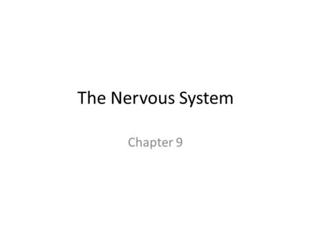 The Nervous System Chapter 9. Nervous System The master controlling and communicating system of the body Functions: – Sensory input – monitoring stimuli.