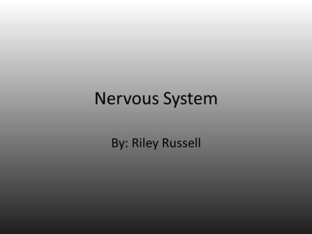 Nervous System By: Riley Russell. Autonomic Nervous System.
