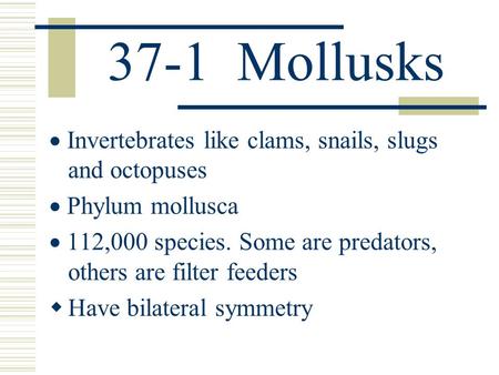37-1 Mollusks · Invertebrates like clams, snails, slugs and octopuses