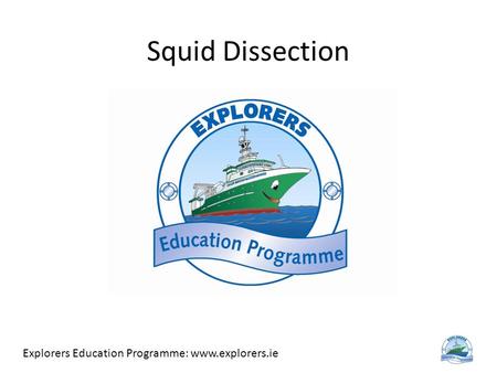 Squid Dissection Explorers Education Programme: www.explorers.ie.