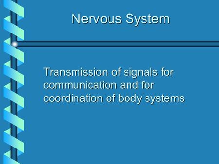 Nervous System Transmission of signals for communication and for coordination of body systems.