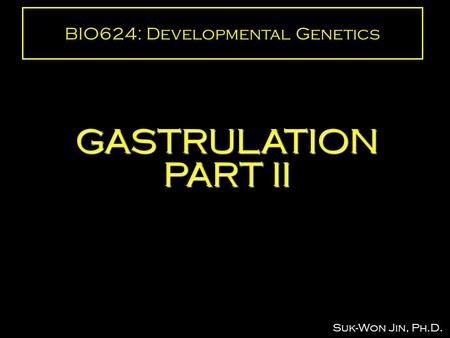 BIO624: Developmental Genetics GASTRULATION PART II Suk-Won Jin, Ph.D.