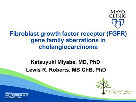 Fibroblast growth factor receptor (FGFR) gene family aberrations in cholangiocarcinoma Katsuyuki Miyabe, MD, PhD Lewis R. Roberts, MB ChB, PhD.