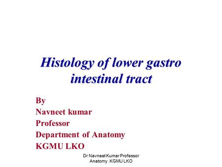 Dr Navneet Kumar Professor Anatomy.KGMU LKO Histology of lower gastro intestinal tract By Navneet kumar Professor Department of Anatomy KGMU LKO.
