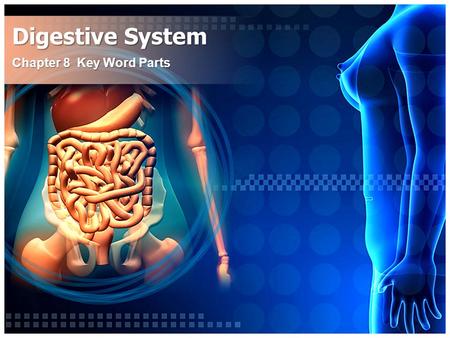 Digestive System Chapter 8 Key Word Parts. An/o Ring Having to do with the Anus Anus – The lower opening of the digestive tract. – The flow of waste through.