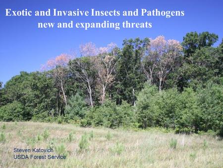 Steven Katovich USDA Forest Service Exotic and Invasive Insects and Pathogens new and expanding threats.