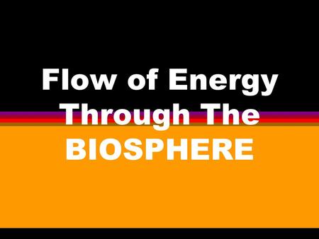 Flow of Energy Through The BIOSPHERE. Importance of Solar Energy l All Organisms require energy for metabolism l The original source of energy in the.