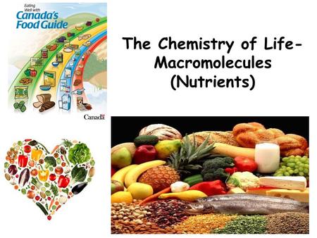 The Chemistry of Life- Macromolecules (Nutrients).