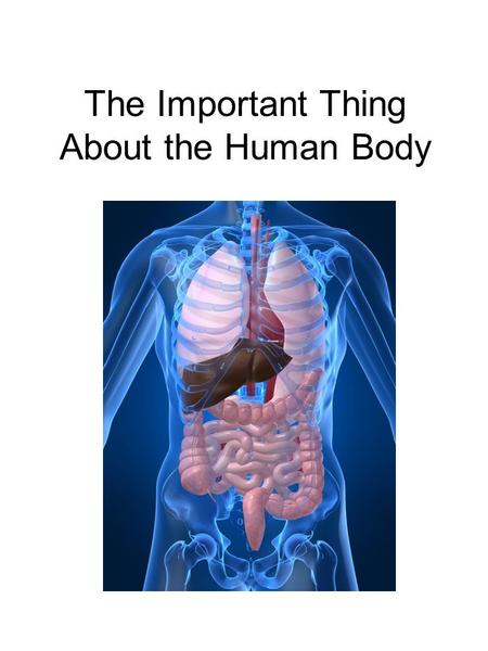 The Important Thing About the Human Body