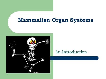 Mammalian Organ Systems An Introduction. Big Ideas 1. Groups of organs with specific structures & functions work together as systems, which interact with.