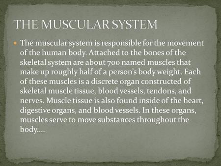 THE MUSCULAR SYSTEM The muscular system is responsible for the movement of the human body. Attached to the bones of the skeletal system are about 700.