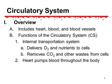 Circulatory System Overview Includes heart, blood, and blood vessels