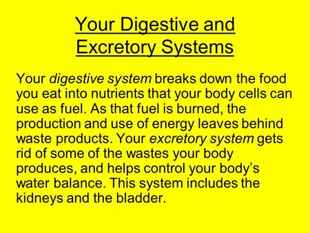 Your Digestive and Excretory Systems Your digestive system breaks down the food you eat into nutrients that your body cells can use as fuel. As that fuel.