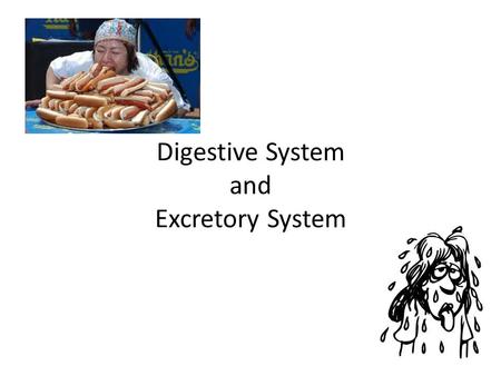 Digestive System and Excretory System. Process of Digestion Function: - help convert or break down foods into simpler molecules that can be absorbed and.
