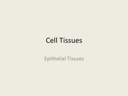 Cell Tissues Epithelial Tissues.