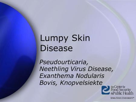 Lumpy Skin Disease Pseudourticaria, Neethling Virus Disease, Exanthema Nodularis Bovis, Knopvelsiekte Lumpy skin disease is also referred to as pseudourticaria,
