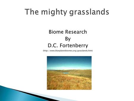 Biome Research By D.C. Fortenberry (http://www.blueplanetbiomes.org/grasslands.htm)