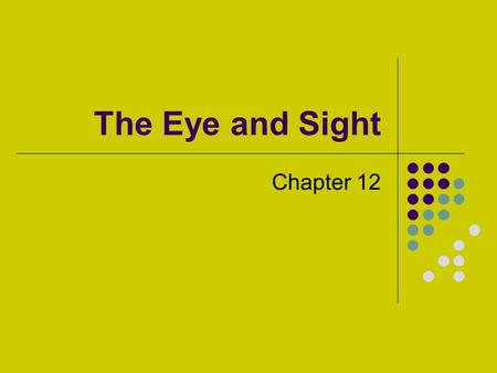The Eye and Sight Chapter 12. Vision begins when light rays are reflected off an object and enter the eyes through the cornea, the transparent outer covering.