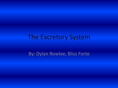 The Excretory System By: Dylan Rowlee, Bliss Forte.