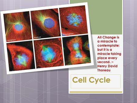 Cell Cycle All Change is a miracle to contemplate; but it is a miracle taking place every second. – Henry David Thoreau.