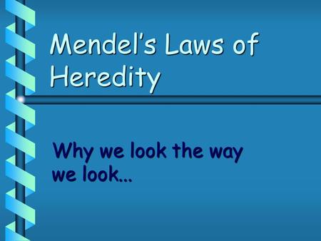 Mendel’s Laws of Heredity Why we look the way we look...