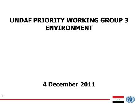 1 UNDAF PRIORITY WORKING GROUP 3 ENVIRONMENT 4 December 2011.