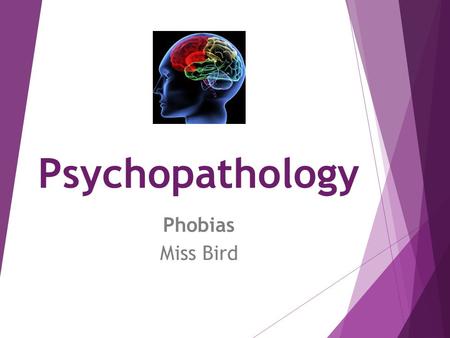 Psychopathology Phobias Miss Bird.