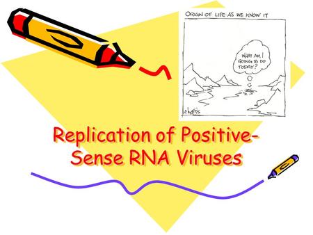 Replication of Positive-Sense RNA Viruses