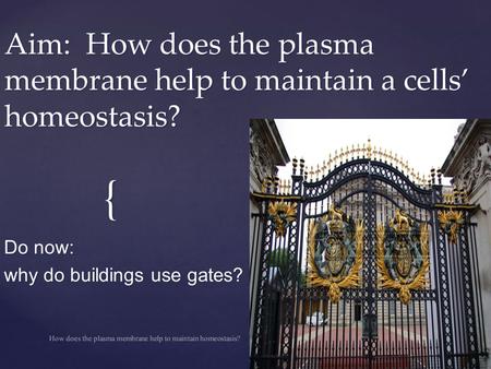 { Aim: How does the plasma membrane help to maintain a cells’ homeostasis? Do now: why do buildings use gates? How does the plasma membrane help to maintain.