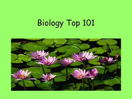 Biology Top 101. Organic Compounds All living things are made of organic compounds. Contain the element Carbon Carbohydrates, Proteins, Lipids, Nucleic.