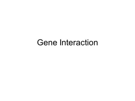 Gene Interaction.
