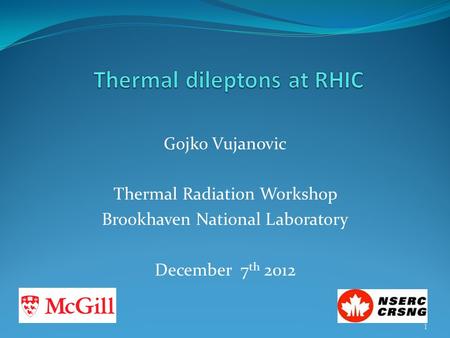 Gojko Vujanovic Thermal Radiation Workshop Brookhaven National Laboratory December 7 th 2012 1.