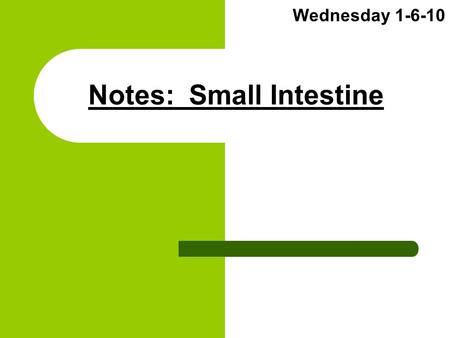 Notes: Small Intestine Wednesday 1-6-10. (1) Overall Function Absorb nutrients from stomach chyme Metabolize ALL Proteins and Lipids Leave only waste.