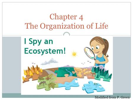 Chapter 4 The Organization of Life Modified from P. Green.