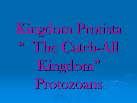 Kingdom Protista “ The Catch-All Kingdom” Protozoans.