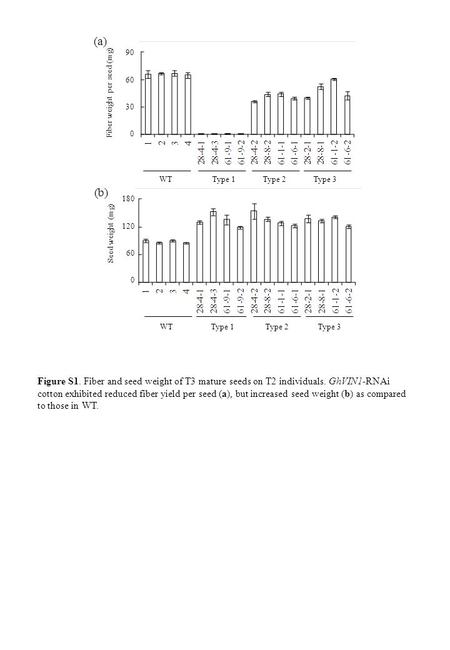 Figure S1. Fiber and seed weight of T3 mature seeds on T2 individuals. GhVIN1-RNAi cotton exhibited reduced fiber yield per seed (a), but increased seed.