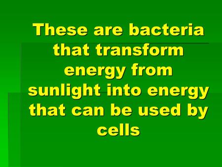 Producers. These are bacteria that transform energy from sunlight into energy that can be used by cells.