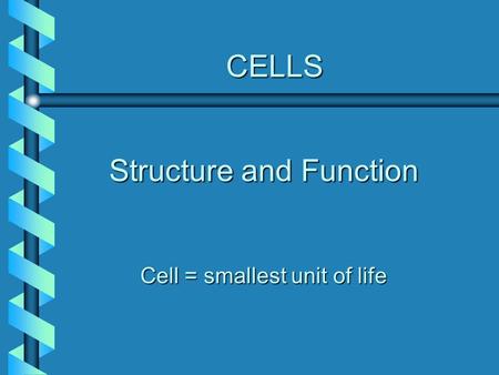 CELLS Structure and Function Cell = smallest unit of life.