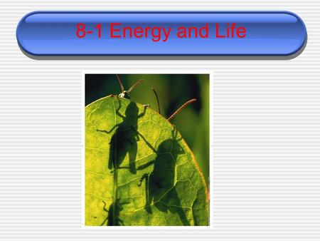 8-1 Energy and Life. Autotrophs and Heterotrophs  Living things need energy to survive.  This energy comes from food. The energy in most food comes.