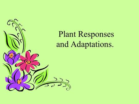 Plant Responses and Adaptations.. What is a tropism? Tropism : a response of a plant to an environmental stimulus.