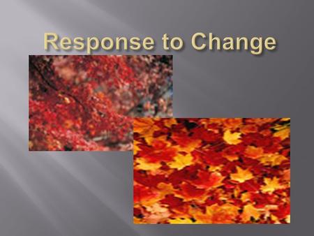  A change in an organism’s surroundings that causes the organism to react.
